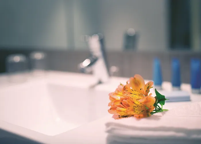 Mövenpick Centre Hotel