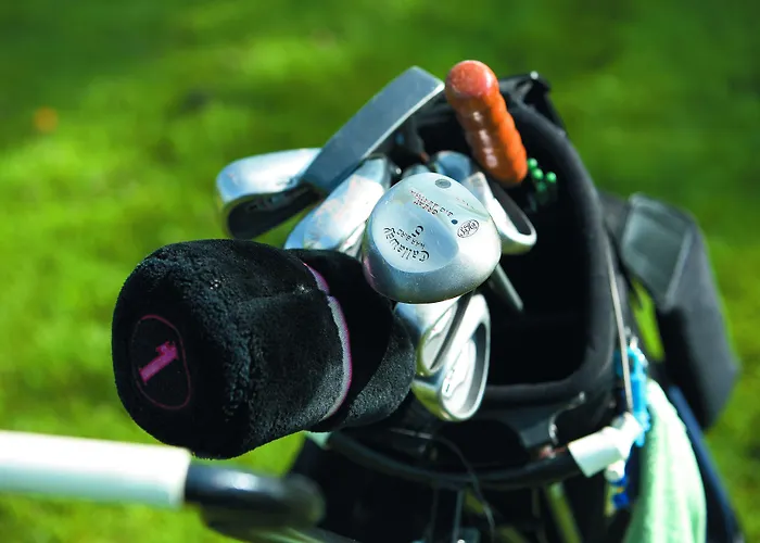 Hotel Mövenpick Centre 4*